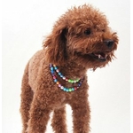 collier-de-perles-multicolores-pour-chien-5