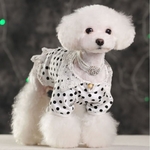 robe-blanche-a-pois-pour-chiens