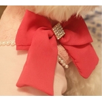 pull-pour-chien-rose-avec-noeud-organza