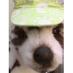 casquette-de-baseball-pour-chien-verte-14