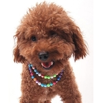 bijou pour chien fait de perles multicolores 1