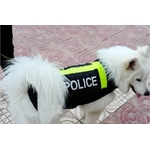 gilet de securite police pour chien2
