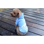 jogging adidog bleu pour chien 2