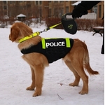 gilet de securite police pour chien