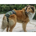 culotte hygiénique camouflage pour grand chien 1