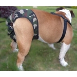 culotte hygiénique camouflage pour grand chien 11