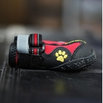 chaussure de sport pour chien rouge 65
