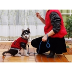 manteau jogging blouson rouge pour chien 2
