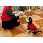 manteau blouson jogging rouge pour chien