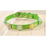 collier vert pour chien 1