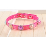 collier rose pour chien