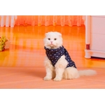 manteau doudoune bleue pour chien ou chat