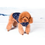 manteau doudoune bleue our chien