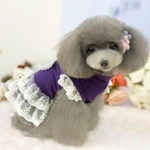 robe mauve pour chien 1