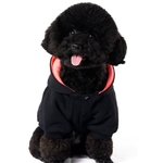 manteau ventura noir pour chien