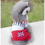 pantalon anglais pour chien 15