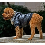 manteau classic noir pour chien 4
