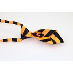 cravate rayee orange et noire pour chien 2