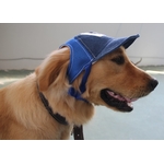 casquette bleue pour grand chien 1