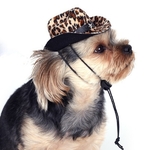 chapeau leopard pour chien 4