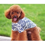 chemise fleur bleue pour chien 7