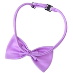 noeud papillon mauve pour chien 2