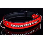 collier rouge décoré pour chien