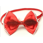 noeud papillon plume rouge pour chien