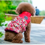 manteau fleuri pour chien 1