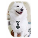 cravate note de musique noire et blanche pour chien