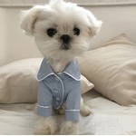 veste de pyjama bleue pour chien