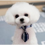 cravate bleue pour chien 2