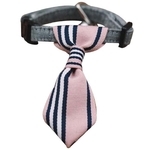 cravate rose pour chien 3