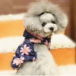 manteau à fleurs roses pour chien 2