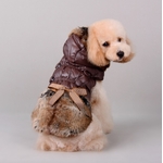 manteau marron pour chien
