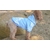 jogging-adidog-bleu-pour-petit-chien