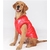 doudoune-adidog-rouge-pour-grand-chien-2