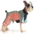 manteau combinaison de ski pour chien rose et verte