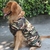 manteau camouflage pour grand chien 1