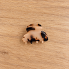Pince beige tachetée sur parquet clair-2