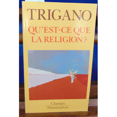 Trigano Shmuel : Qu'est-ce que la religion ? : La transcendance des sociologues...