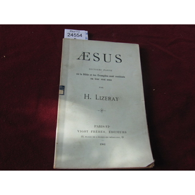 LIZERAY H : Aesus. 2eme partie : ou la bible et les évangiles sont restitués en leur vrai sens...