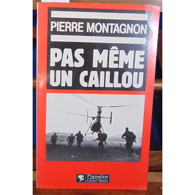 Montagnon Pierre : Pas même un caillou...