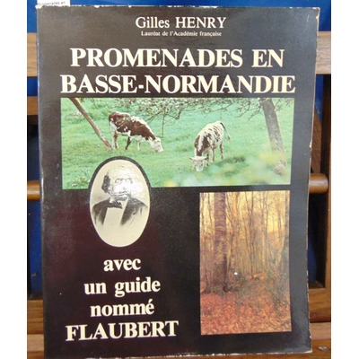 Henry  : Promenades en Basse-normandie avec un guide nommé Flaubert...