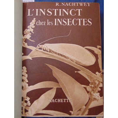 Nachtwey  : L'instinct chez les insectes...
