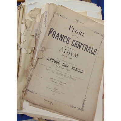 : environ 150 planches de l'album de la flore de la France Centrale...