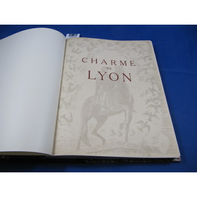 Jolinon : Charme De Lyon, photographies d'Antoine Demilly...