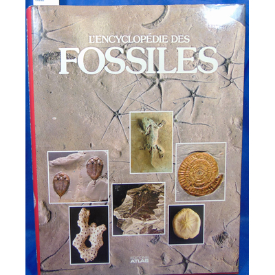 Pinna  : L'encyclopédie des fossiles...