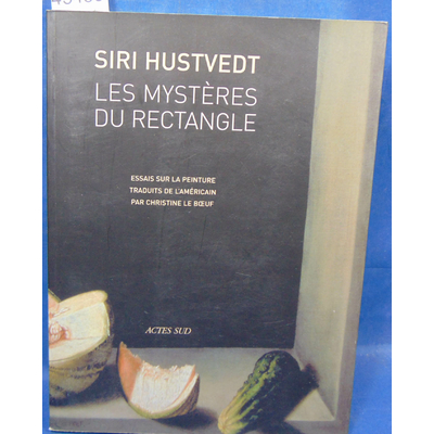 Hustvedt  : Les mystères du rectange...