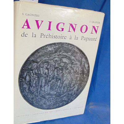 Gagniere  : Avignon de la préhistoire à la papauté...